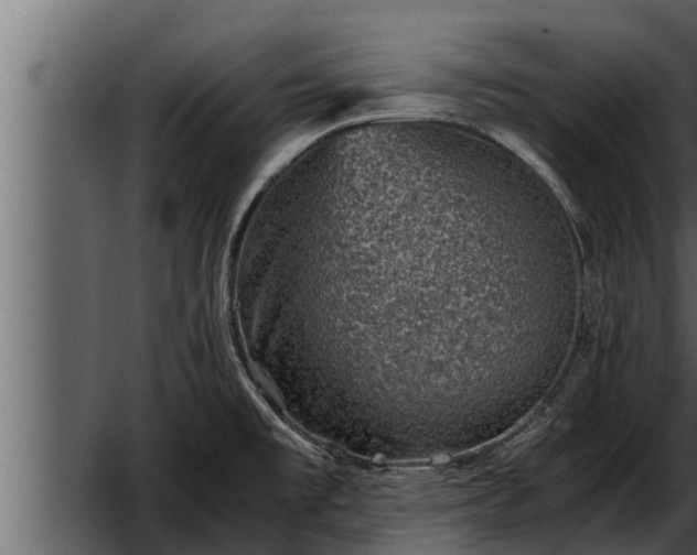 X0000052601477200507152358