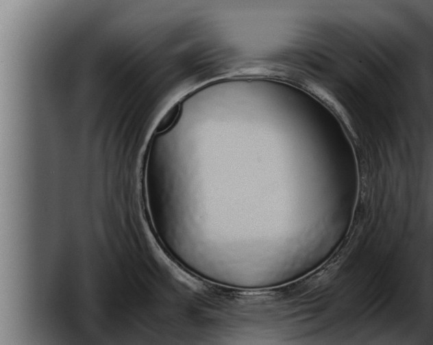 X0000052601483200507152358