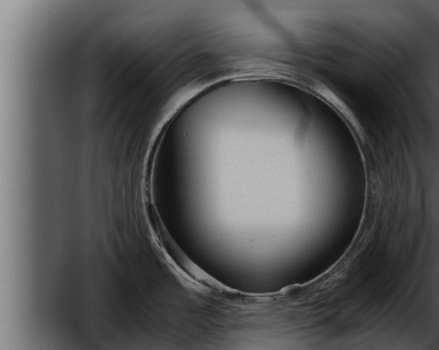 X0000052601485200507152358