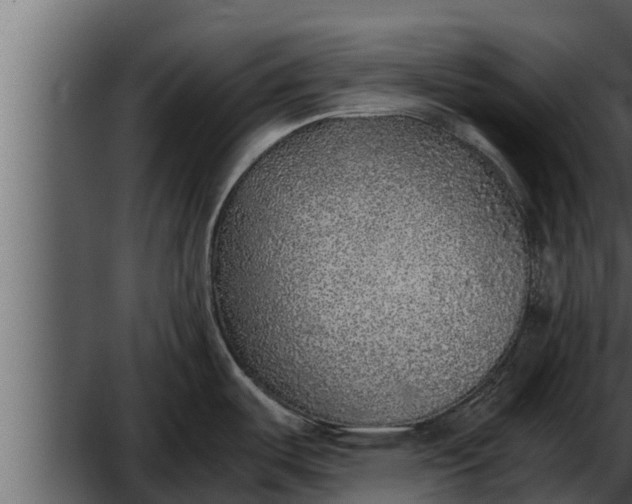 X0000052601487200507152358