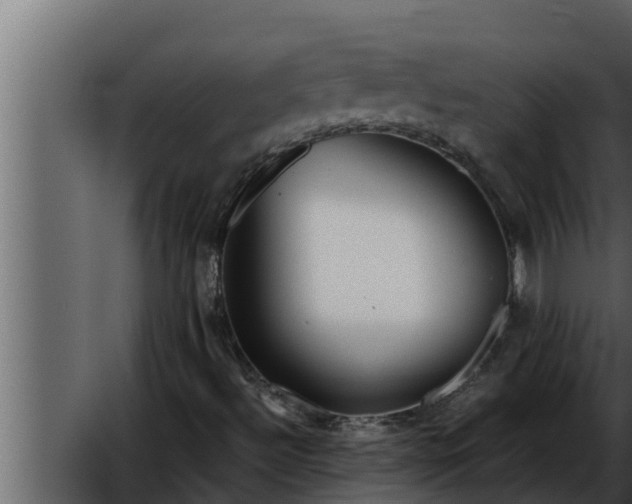 X0000052601492200507152357