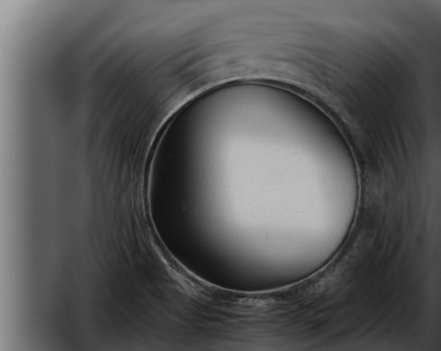 X0000052601513200507152357