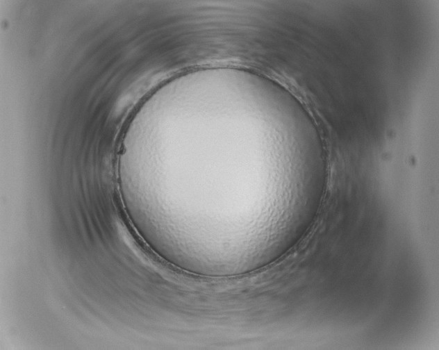 X0000052600002200507221646