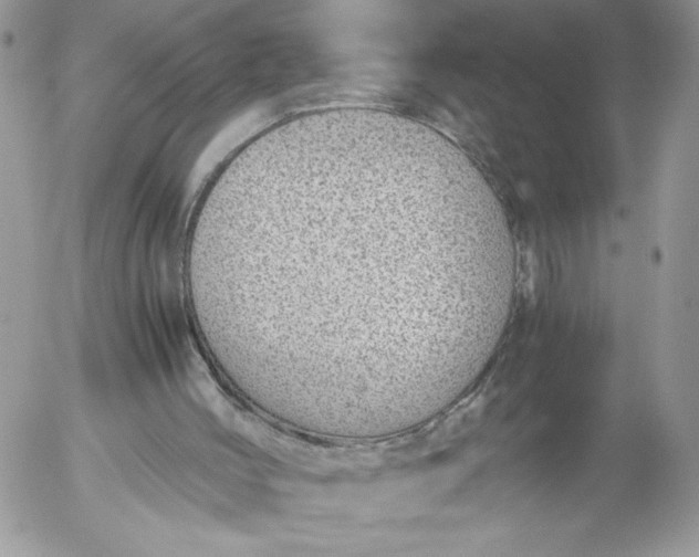 X0000052600004200507221645