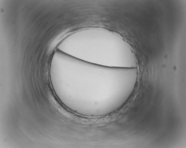 X0000052600005200507221645