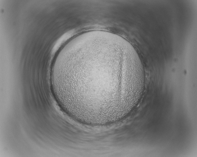 X0000052600006200507221645