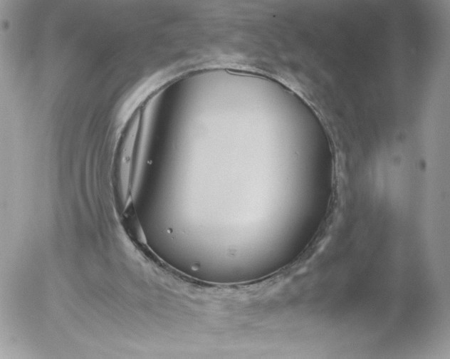 X0000052600007200507221645