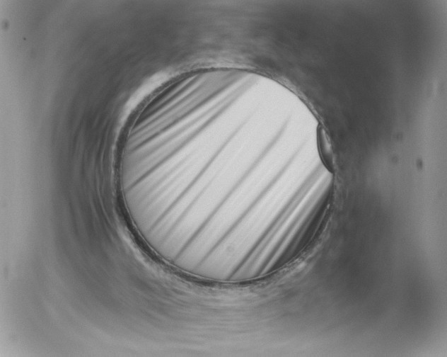 X0000052600008200507221645