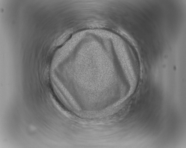 X0000052600009200507221645