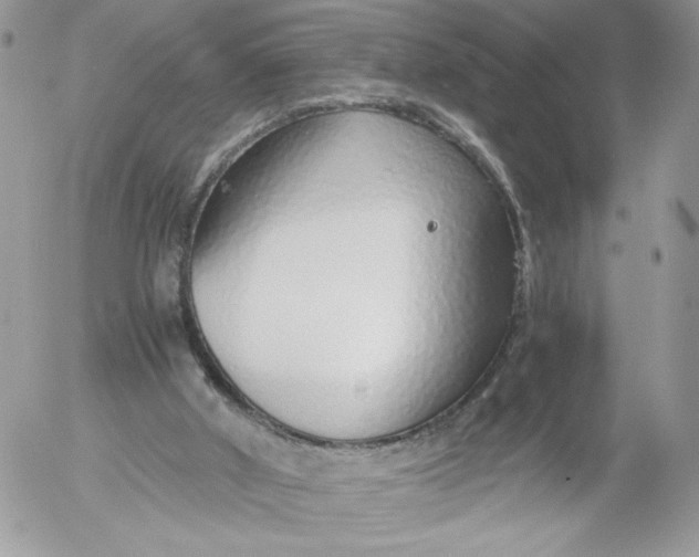 X0000052600010200507221645