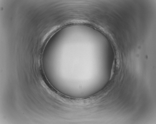 X0000052600015200507221645