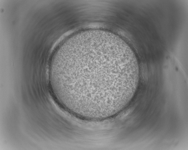 X0000052600016200507221645