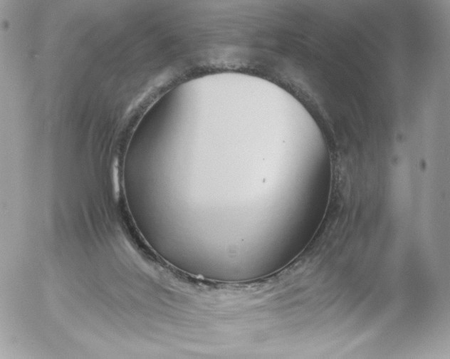 X0000052600020200507221645