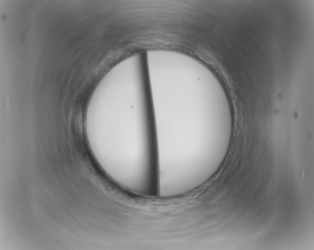 X0000052600021200507221645