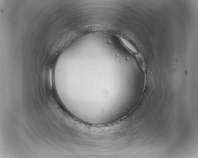 X0000052600022200507221645