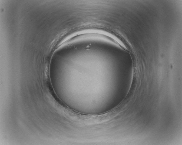 X0000052600023200507221645