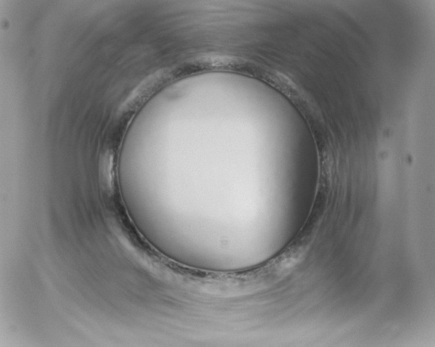 X0000052600024200507221645