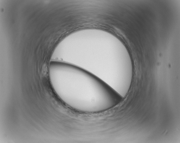 X0000052600025200507221645