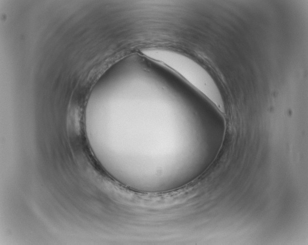 X0000052600026200507221645