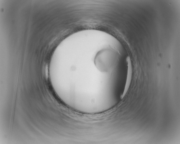 X0000052600027200507221645