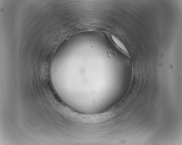 X0000052600030200507221645