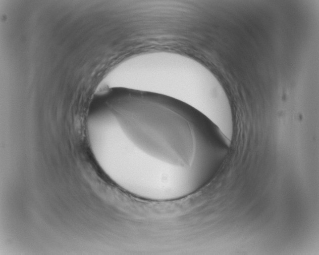 X0000052600031200507221645