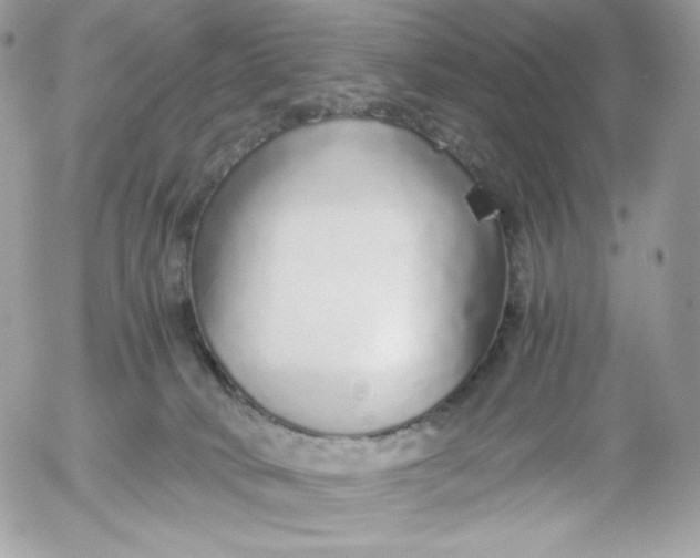 X0000052600034200507221645