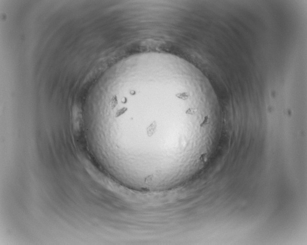 X0000052600038200507221645