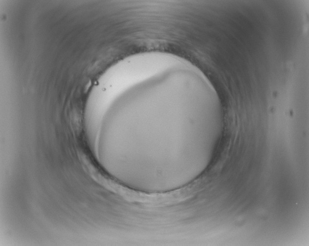 X0000052600039200507221645