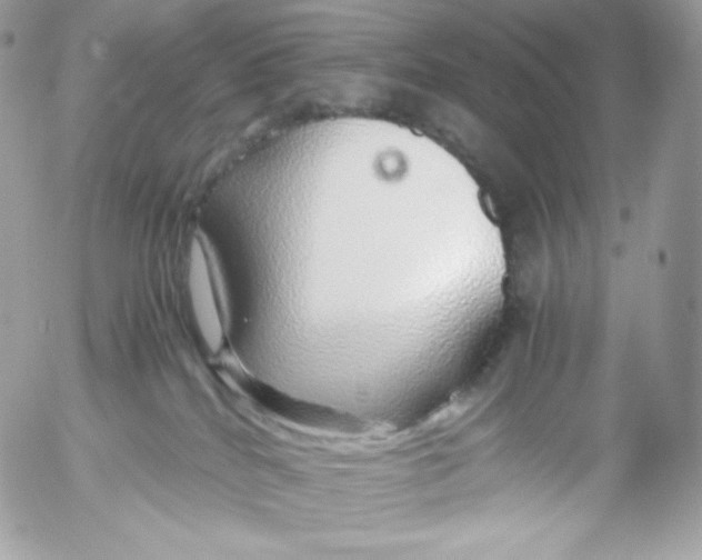 X0000052600040200507221645