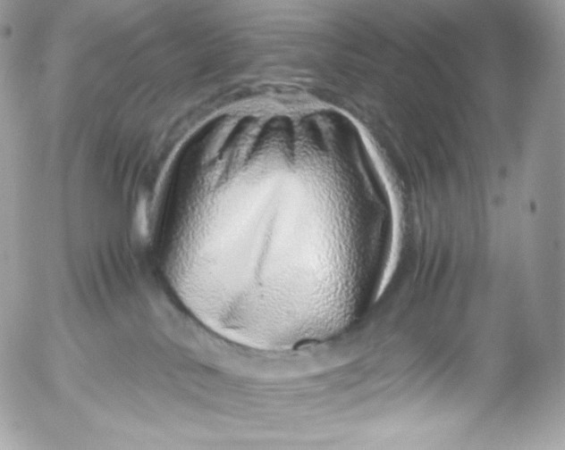 X0000052600042200507221645