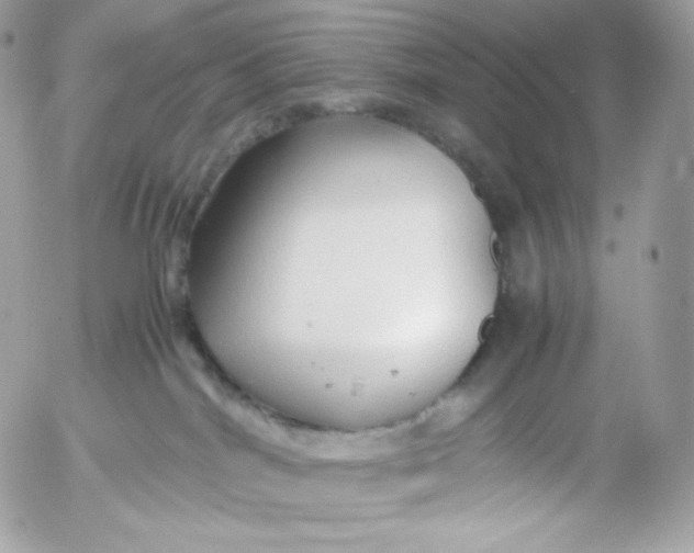 X0000052600044200507221645