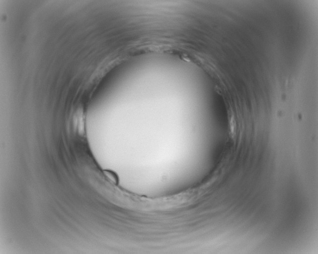 X0000052600046200507221645