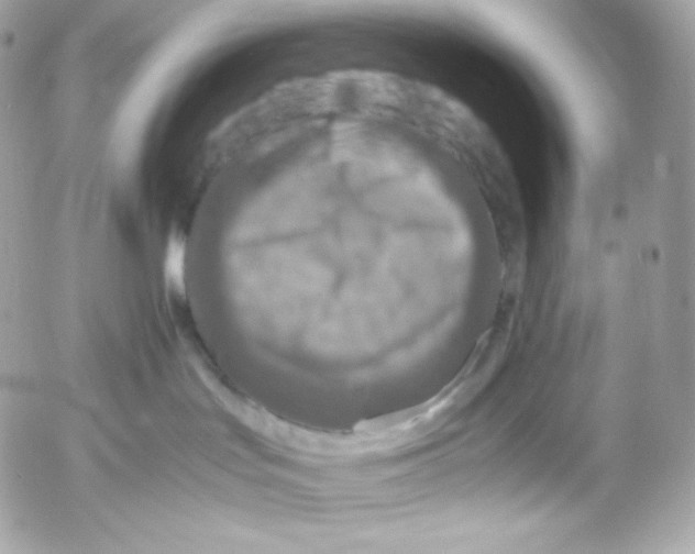 X0000052600047200507221645