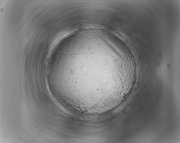 X0000052600049200507221644