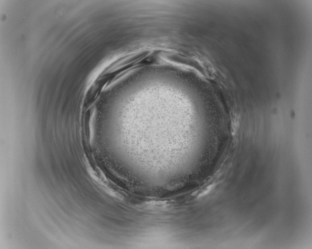 X0000052600052200507221644