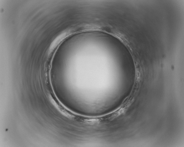 X0000052600053200507221644