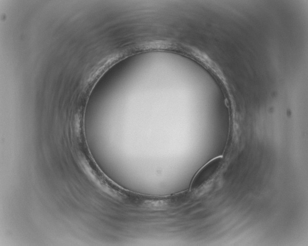 X0000052600057200507221644