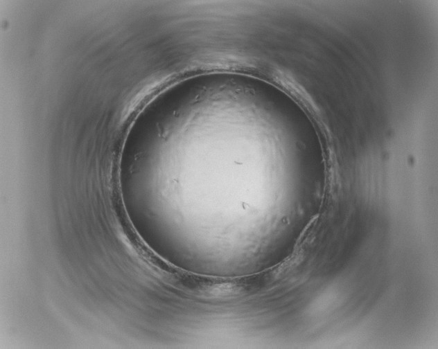 X0000052600058200507221644