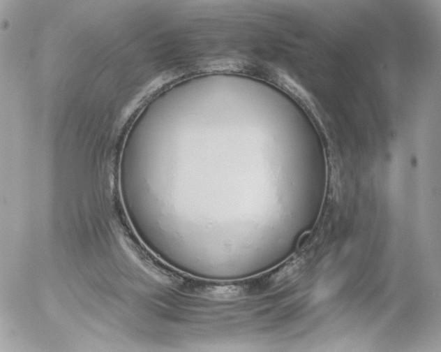 X0000052600059200507221644