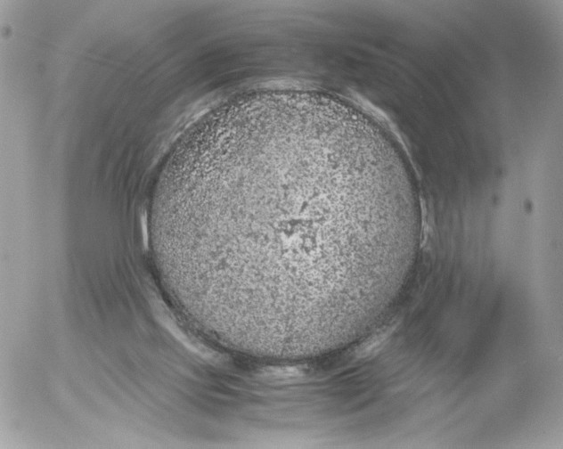 X0000052600061200507221644