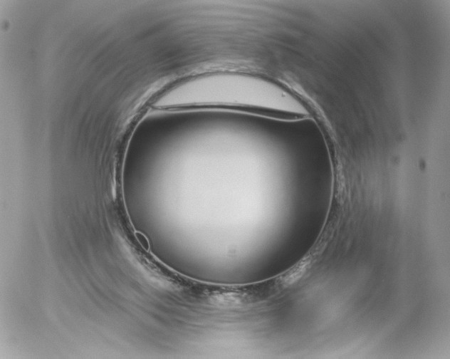 X0000052600062200507221644