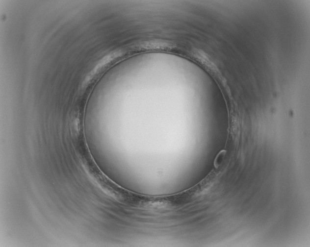 X0000052600063200507221644