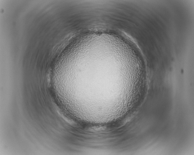 X0000052600065200507221644