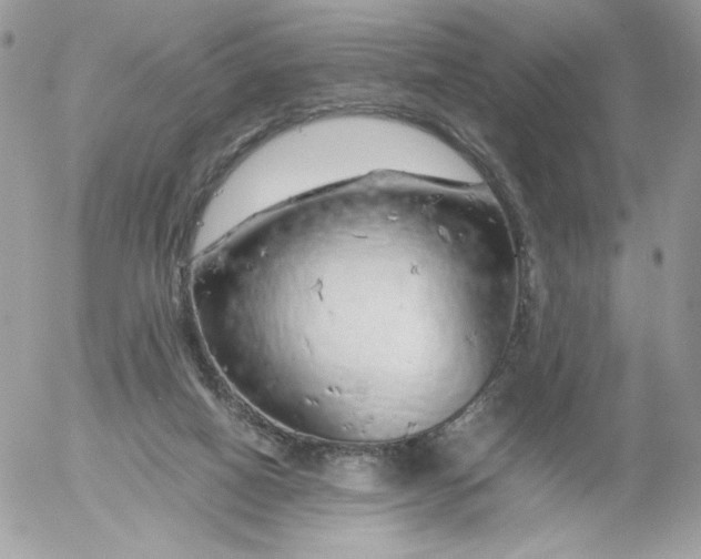 X0000052600066200507221644