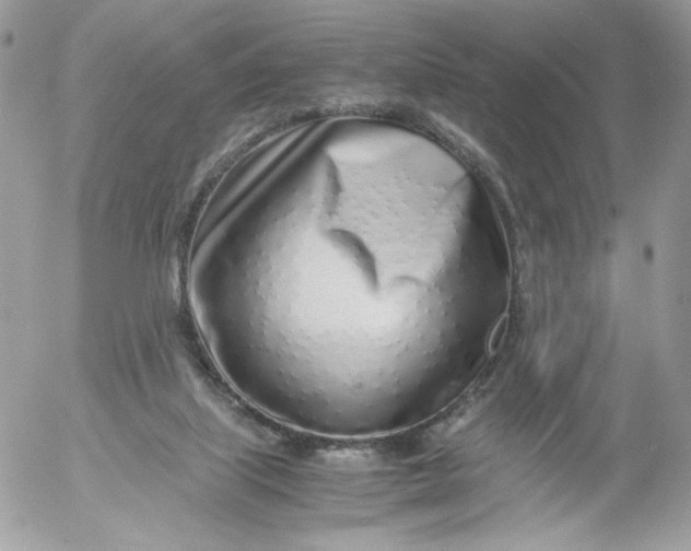 X0000052600067200507221644