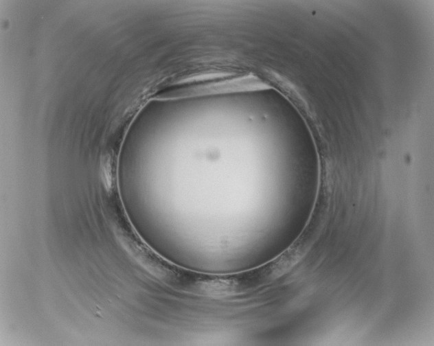 X0000052600069200507221644