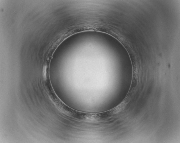 X0000052600070200507221644