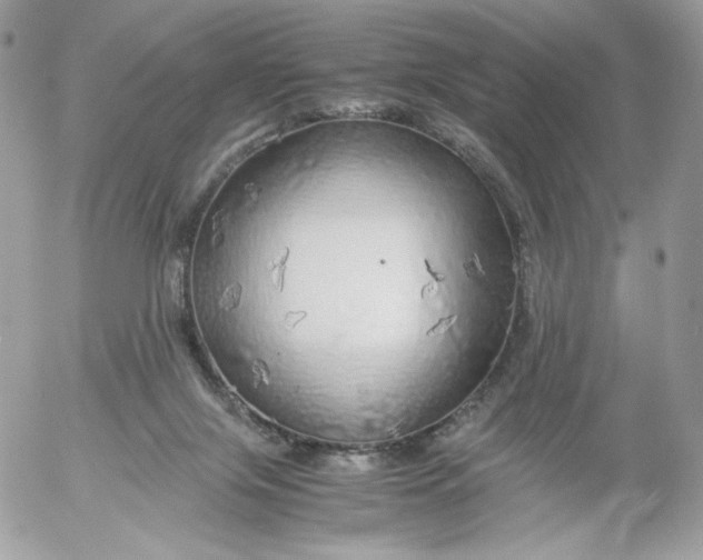 X0000052600071200507221644