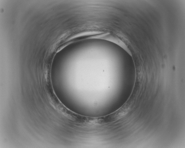 X0000052600072200507221644